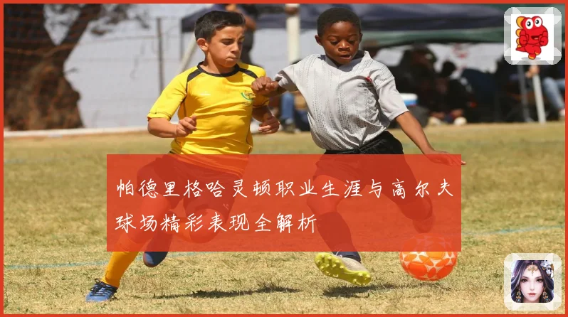 帕德里格哈灵顿职业生涯与高尔夫球场精彩表现全解析