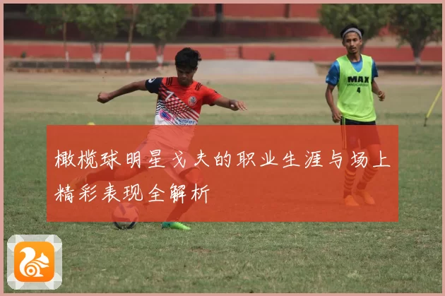 橄榄球明星戈夫的职业生涯与场上精彩表现全解析