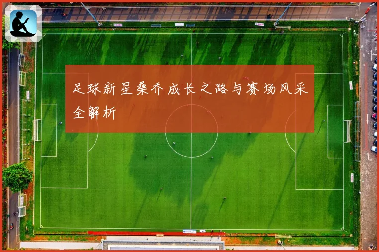 足球新星桑乔成长之路与赛场风采全解析